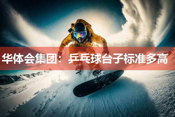 乒乓球台子标准多高