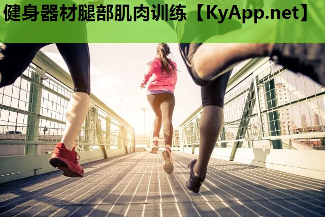 健身器材腿部肌肉训练 健身器材腿部肌肉训练