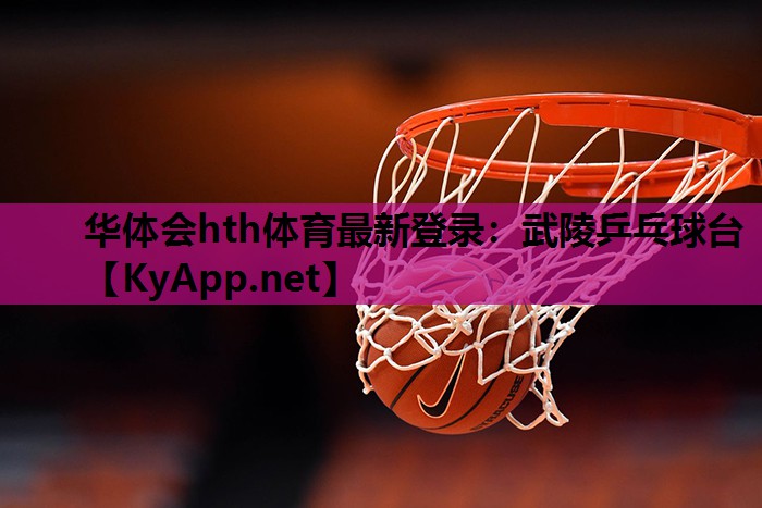 武陵乒乓球台 武陵乒乓球台