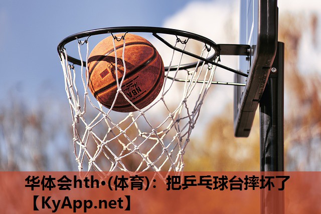 把乒乓球台摔坏了 把乒乓球台摔坏了