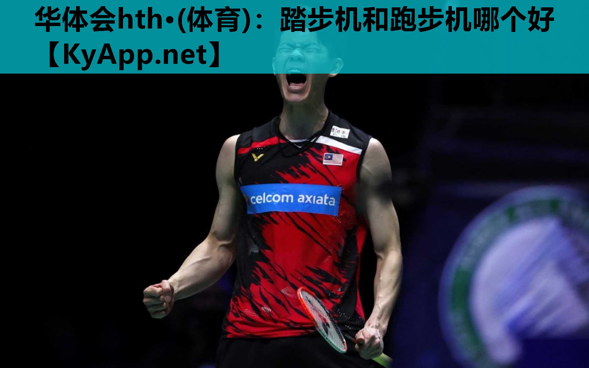 踏步机和跑步机哪个好 踏步机和跑步机哪个好