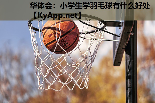 小学生学羽毛球有什么好处 小学生学羽毛球有什么好处