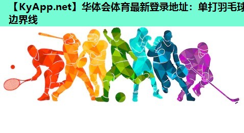 单打羽毛球边界线 单打羽毛球边界线