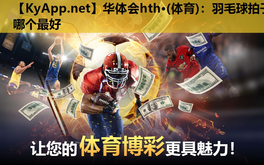 羽毛球拍子哪个最好 羽毛球拍子哪个最好