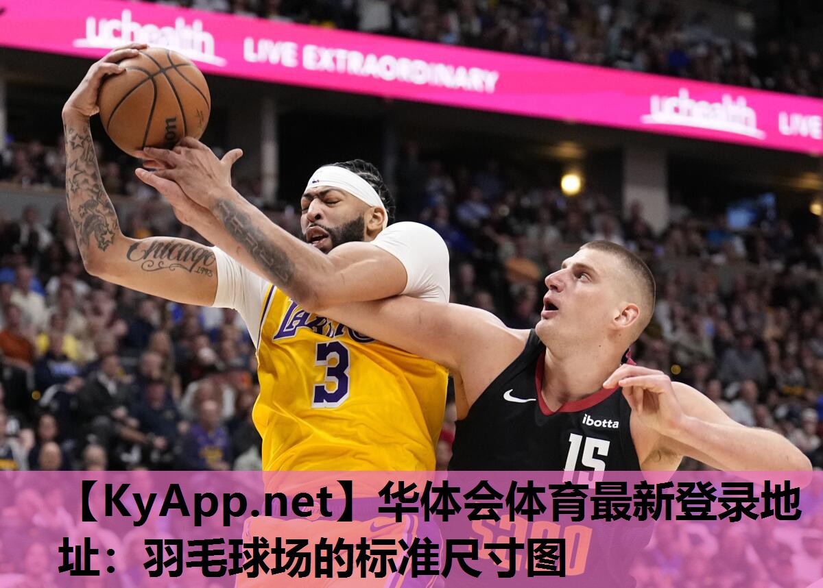 羽毛球场的标准尺寸图 羽毛球场的标准尺寸图