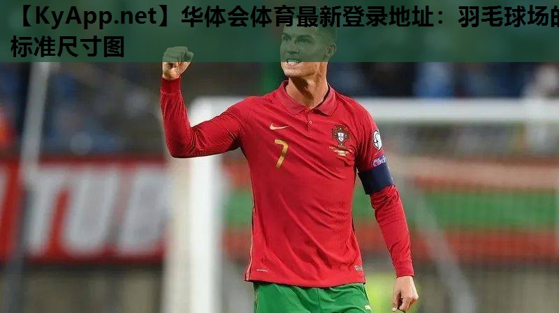 羽毛球场的标准尺寸图 羽毛球场的标准尺寸图