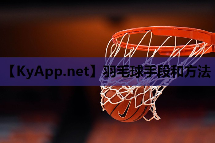 羽毛球手段和方法 羽毛球手段和方法