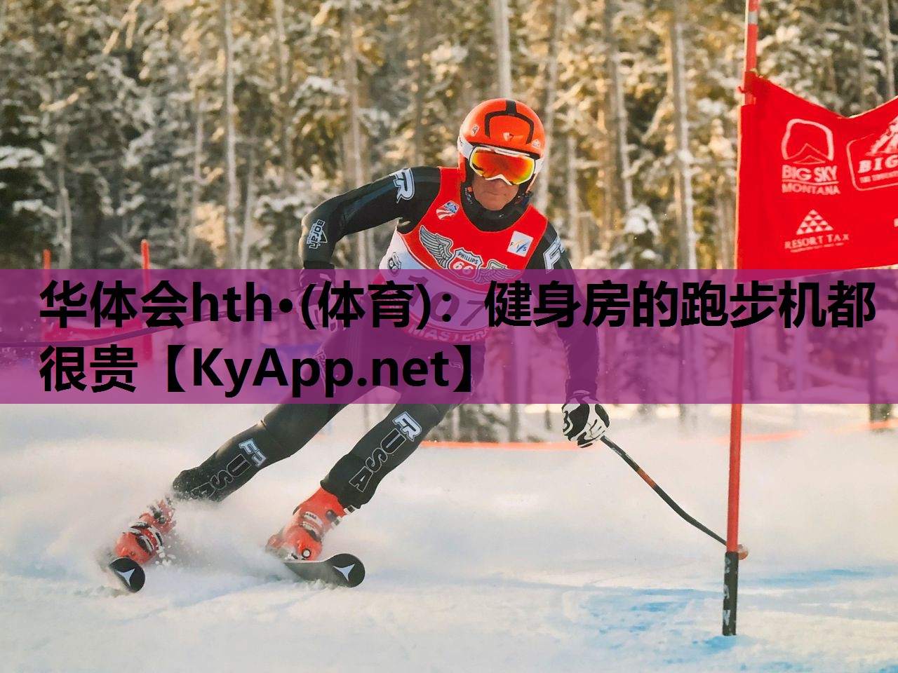 健身房的跑步机都很贵 健身房的跑步机都很贵